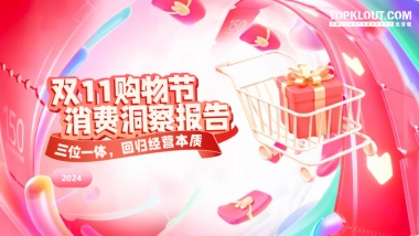 2024年双十一购物节消费洞察报告