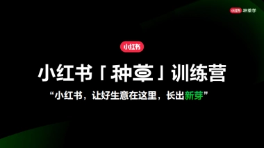2024小红书「种草」训练营-118页