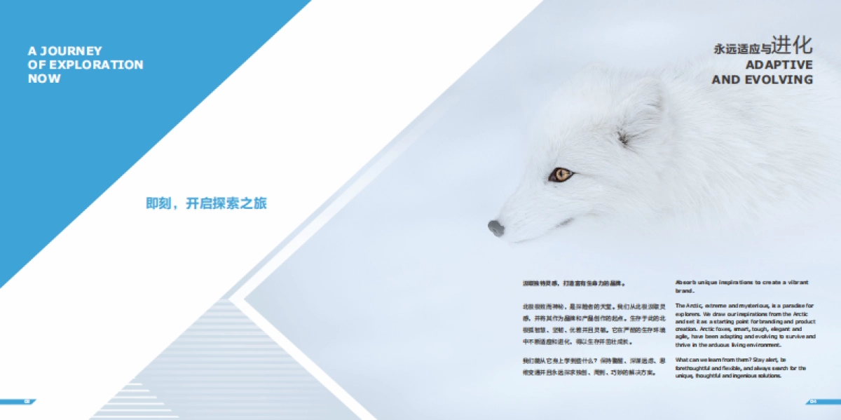 ARCFOX极狐汽车品牌手册_第4页