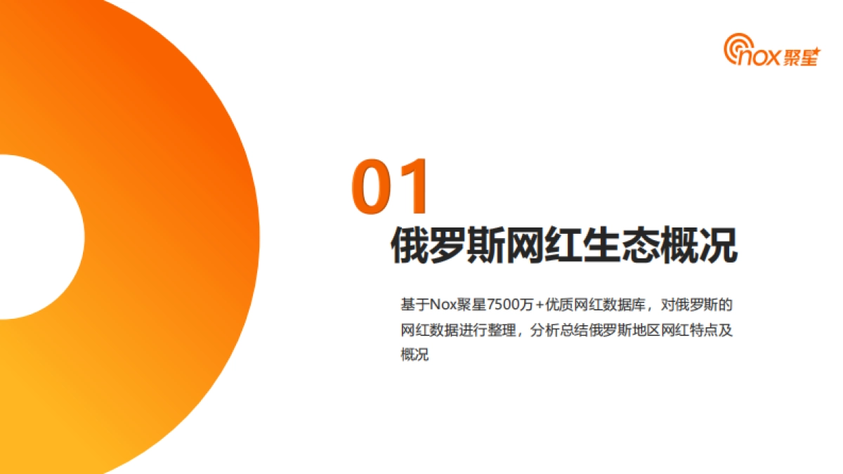 聚星：2024年俄罗斯网红营销生态报告_第6页