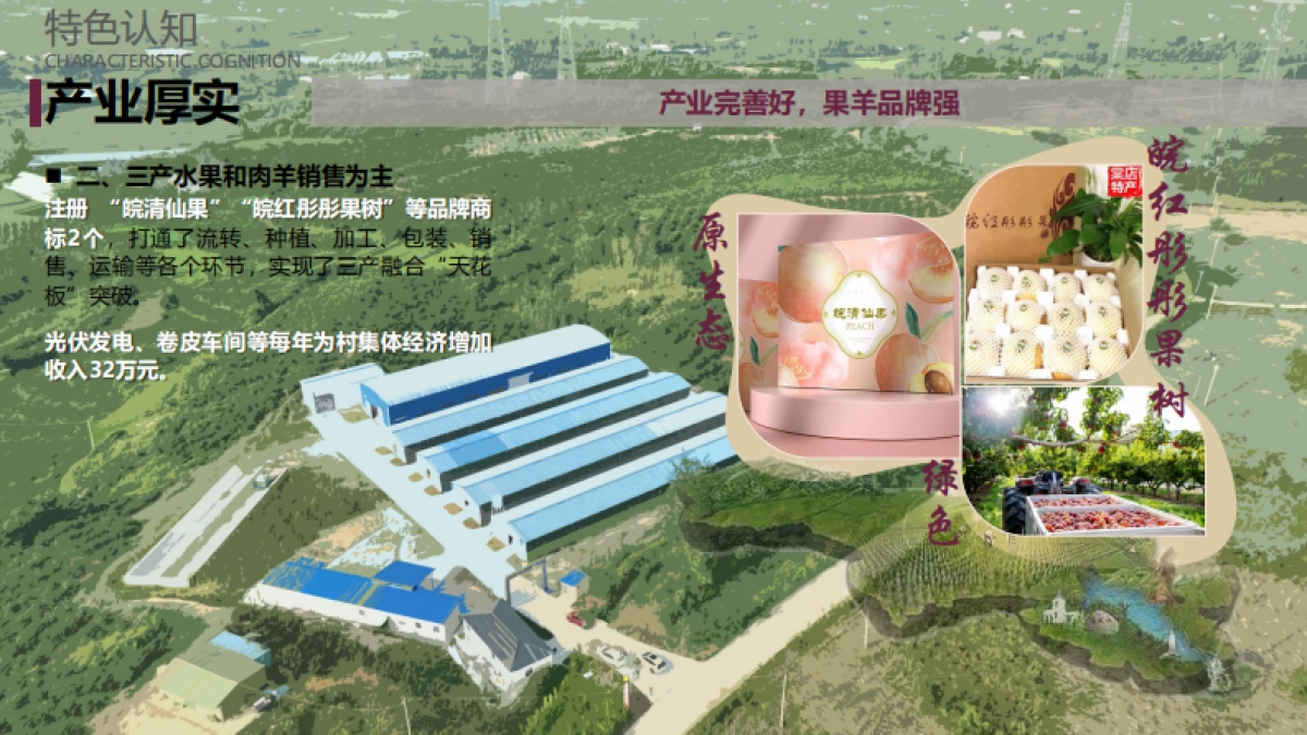 南方城市-岭南乡村和美乡村示范村规划设计方案_第6页