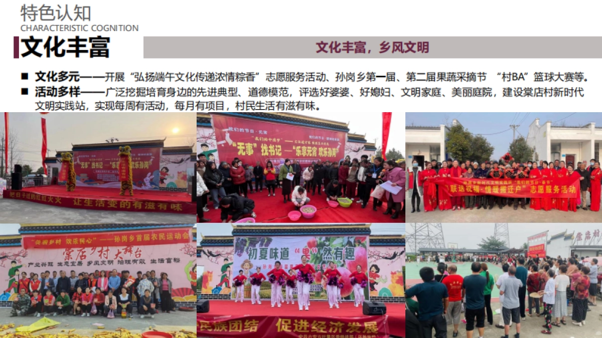 南方城市-岭南乡村和美乡村示范村规划设计方案_第8页