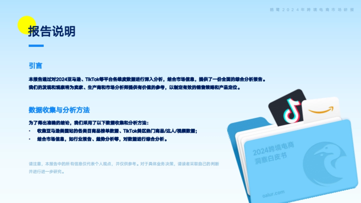 欧鹭：2024跨境电商洞察白皮书：内容电商崛起与绿色消费潮流中的增长机遇_第2页