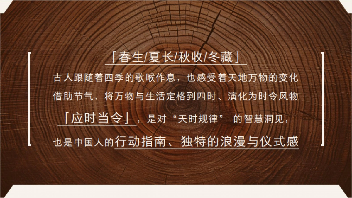 小红书【万物有时节·冬季篇】IP招商方案-2024_第5页