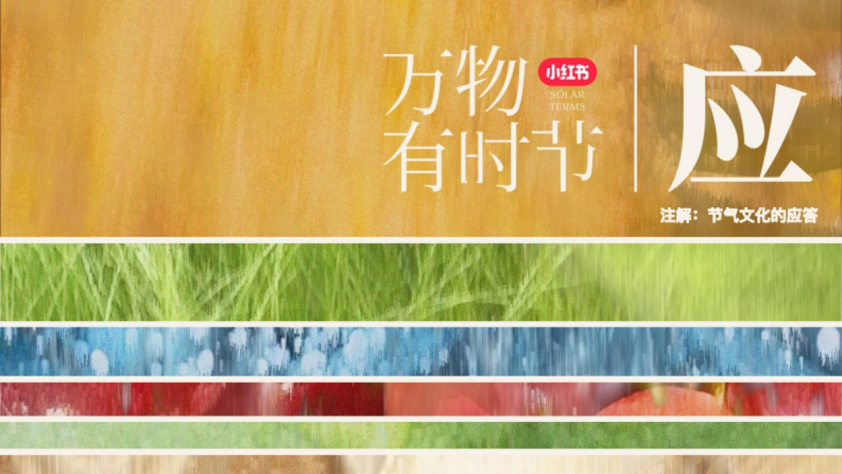 小红书【万物有时节·冬季篇】IP招商方案-2024_第9页