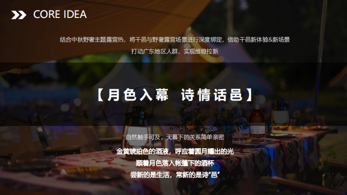 洋酒品牌京东IP营销全域联动引爆店铺销售_第4页