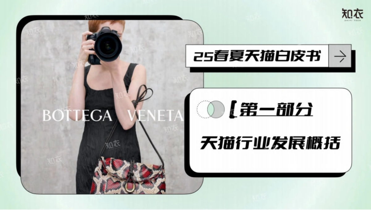 知衣:2025天猫春夏女装白皮书_第2页
