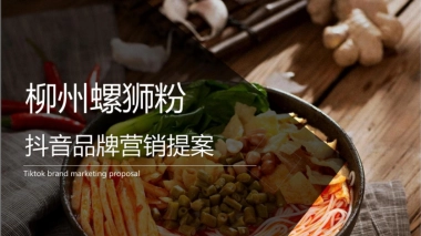 柳州螺狮粉品牌IP打造抖音营销提案