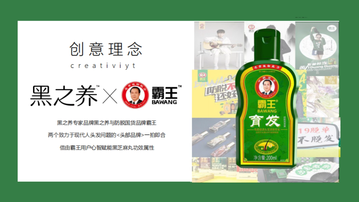 霸王联名黑芝麻跨界营销案_第6页