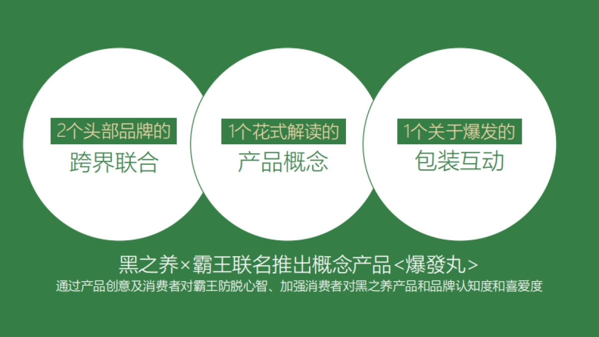霸王联名黑芝麻跨界营销案_第9页