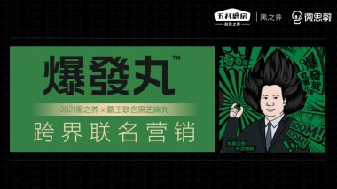 霸王联名黑芝麻跨界营销案