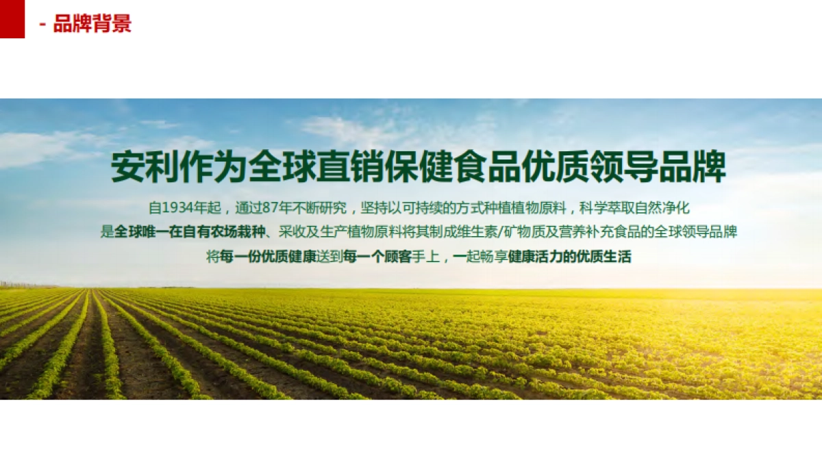 纽崔莱年货节_第2页