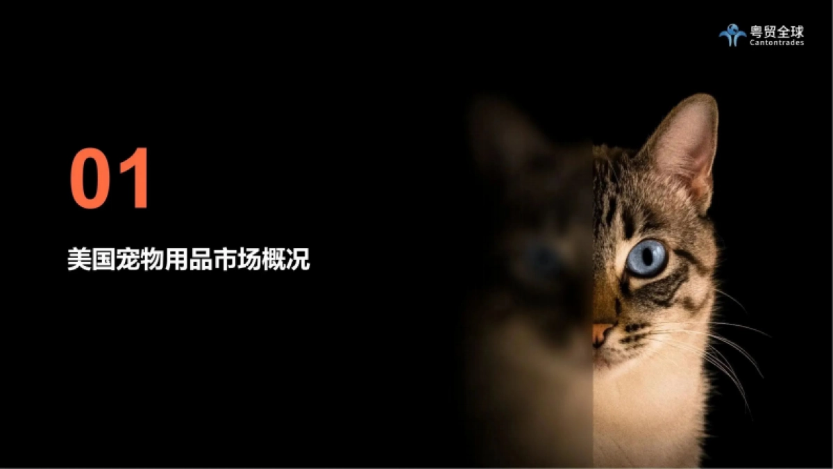 粤贸全球：2023美国宠物用品市场趋势洞察_第2页