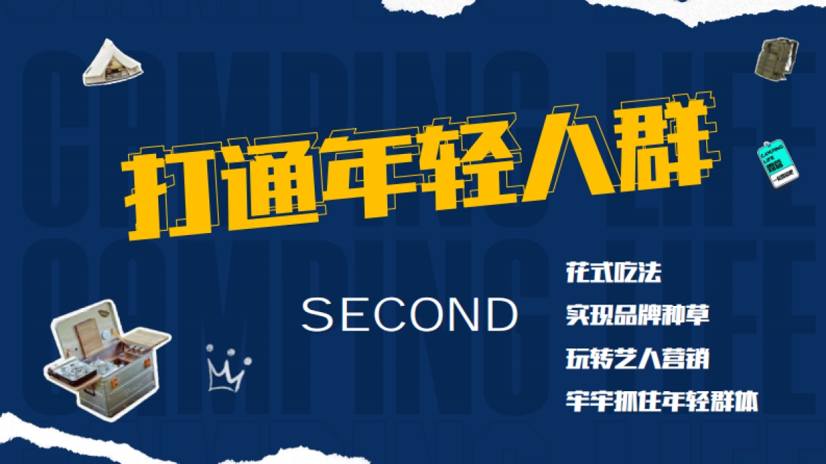 甄稀X一起来露营吧营销案例_第10页