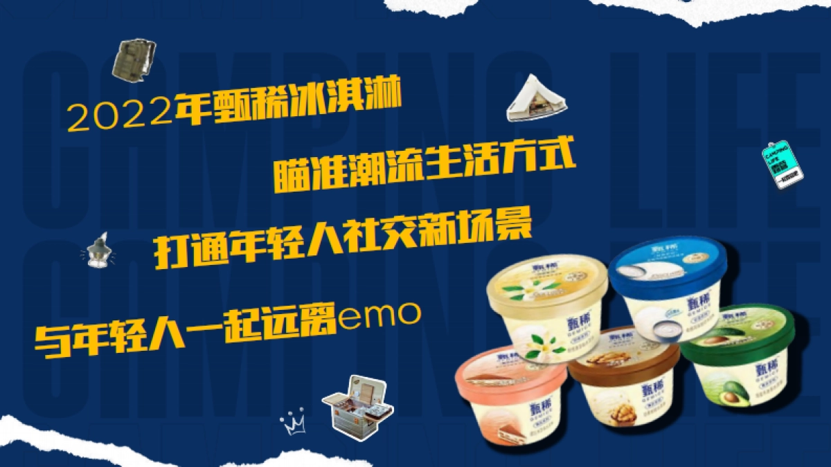 甄稀X一起来露营吧营销案例_第4页