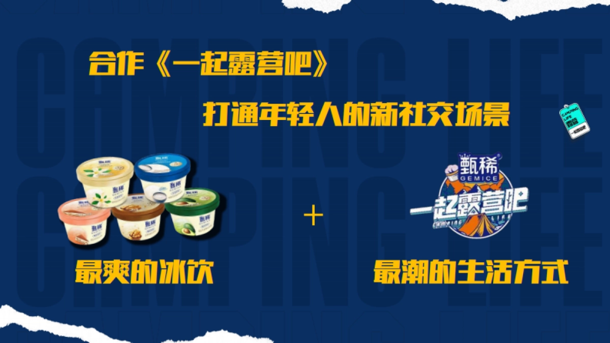 甄稀X一起来露营吧营销案例_第5页