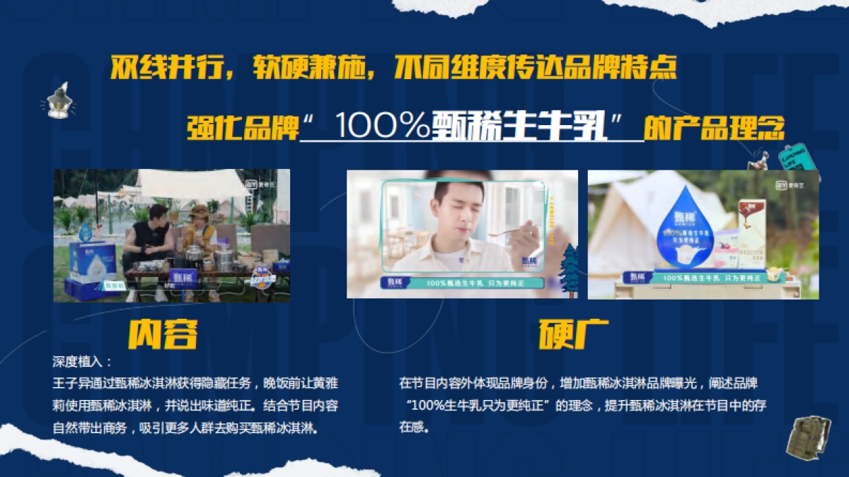 甄稀X一起来露营吧营销案例_第8页