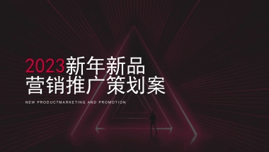 钟小巧新年新品营销推广策划案