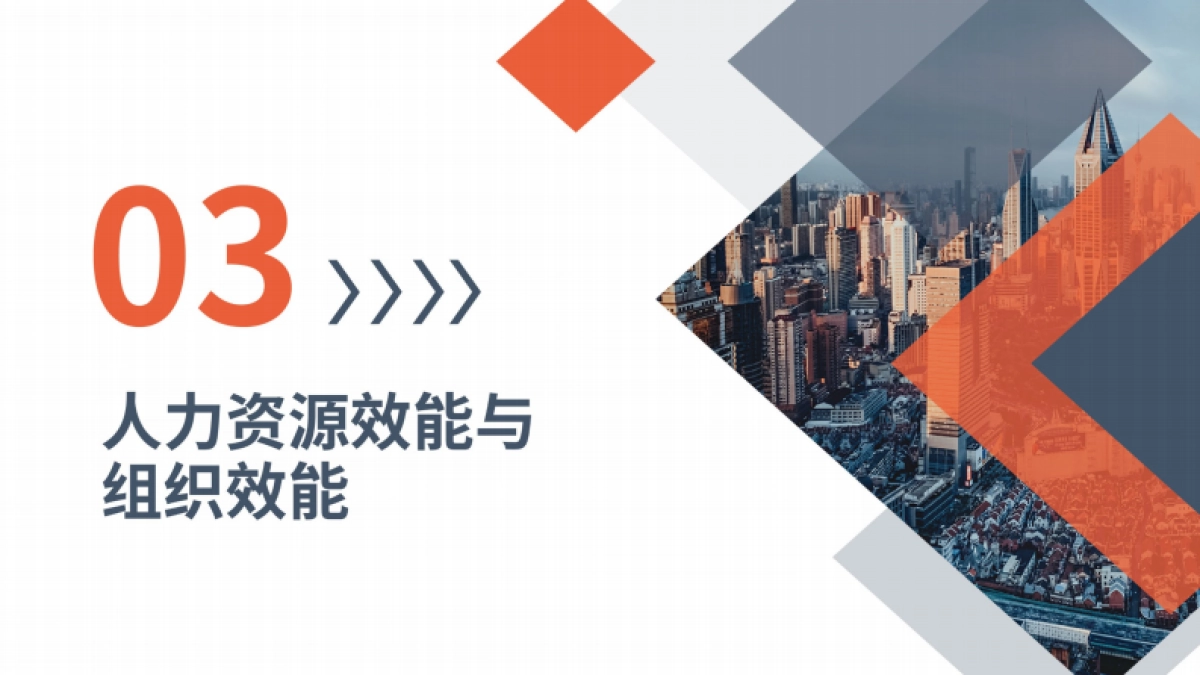 【工具】人力资源效能评估手册_第7页