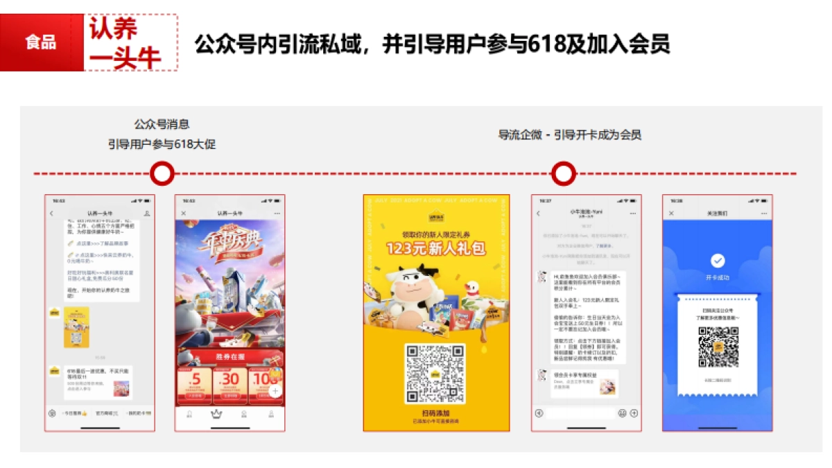 10大行业头部品牌大促公私域玩法合集_第10页