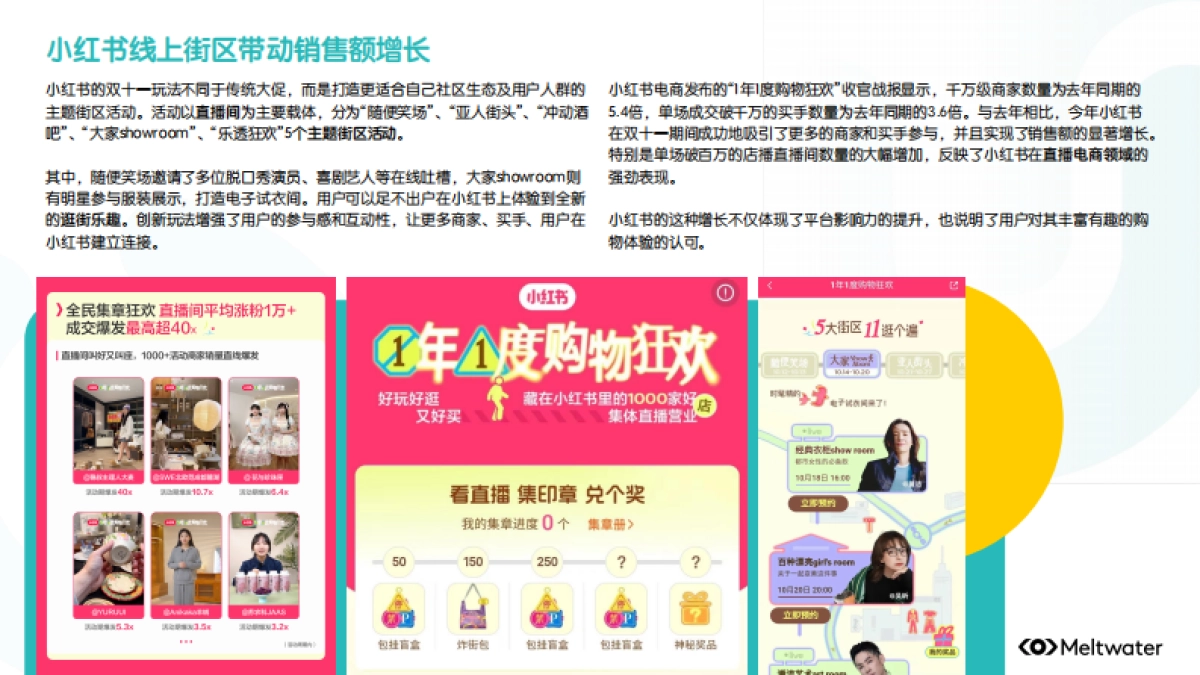 2024年“双十一”与“黑五”的营销玩法与趋势报告_第8页