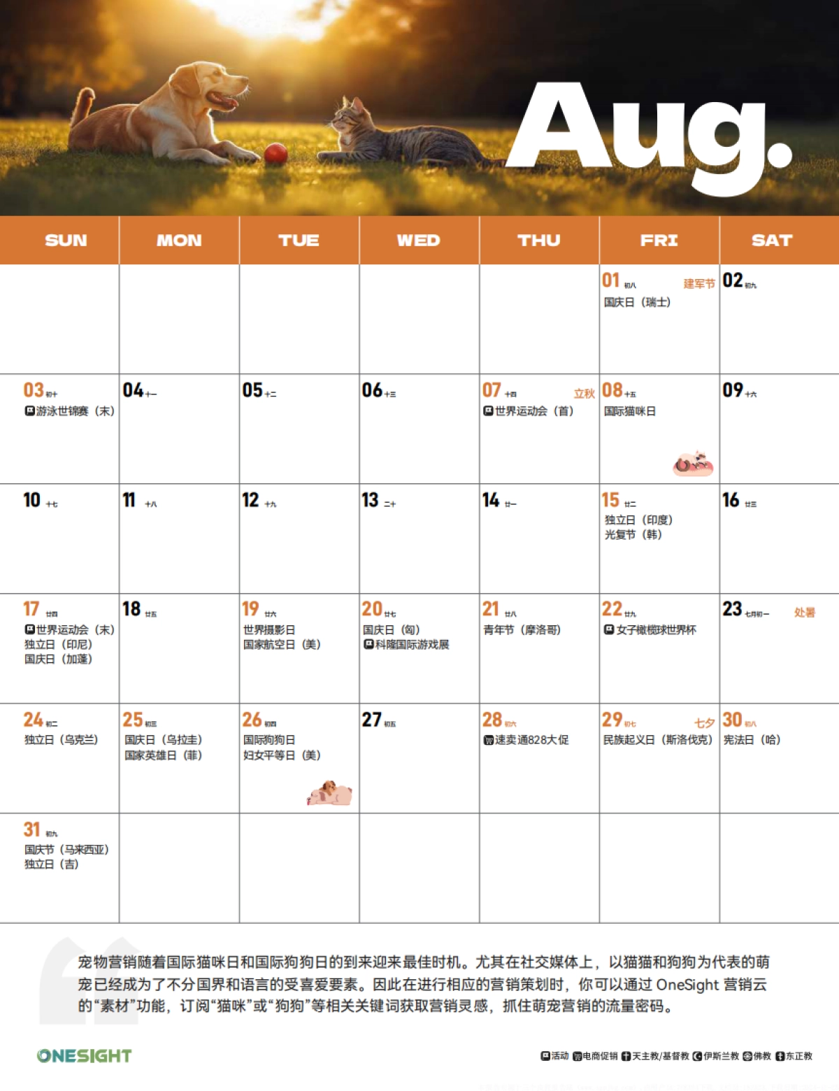 OneSight:2025全球化营销日历_第10页