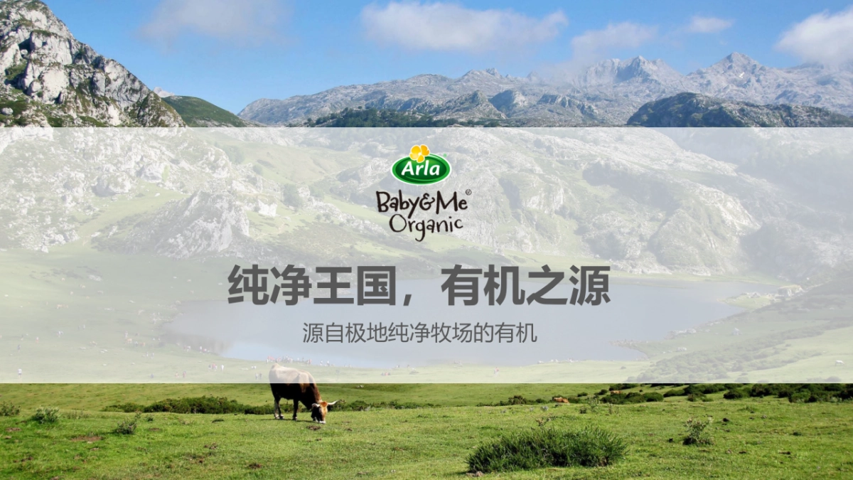 Arla宝贝与我品牌全年整合营销规划_第10页