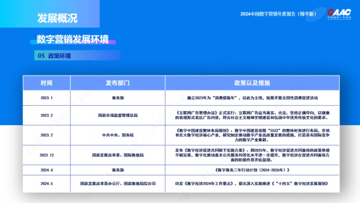 2024数字营销年度报告_第10页
