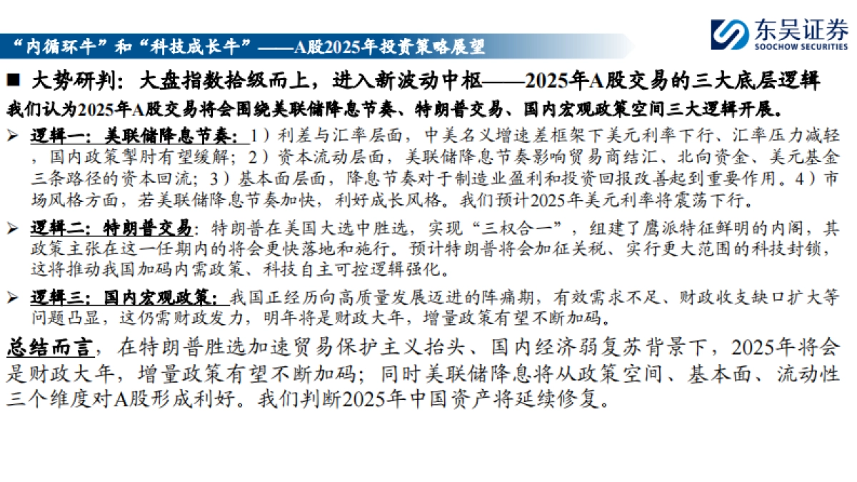 2025年A股投资策略展望：“内循环牛”和“科技成长牛”_第2页