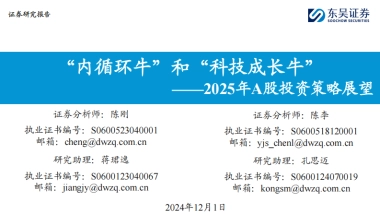 2025年A股投资策略展望：“内循环牛”和“科技成长牛”