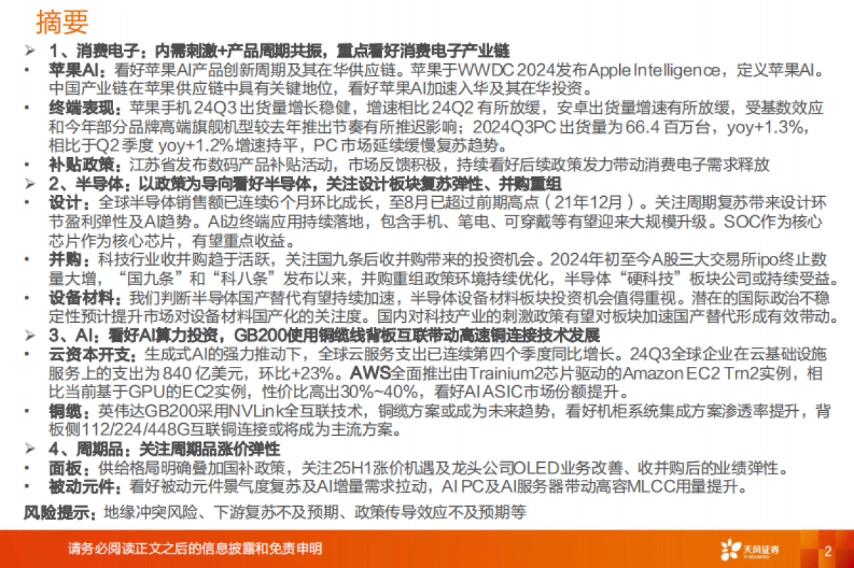 电子2025年度策略:坚守成长,重视主题_第2页