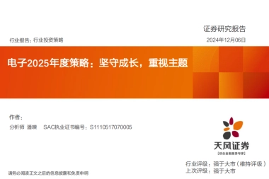 电子2025年度策略：坚守成长，重视主题