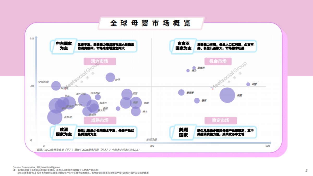 飞书深诺：2024母婴行业出海白皮书：小生命，大未来_第5页