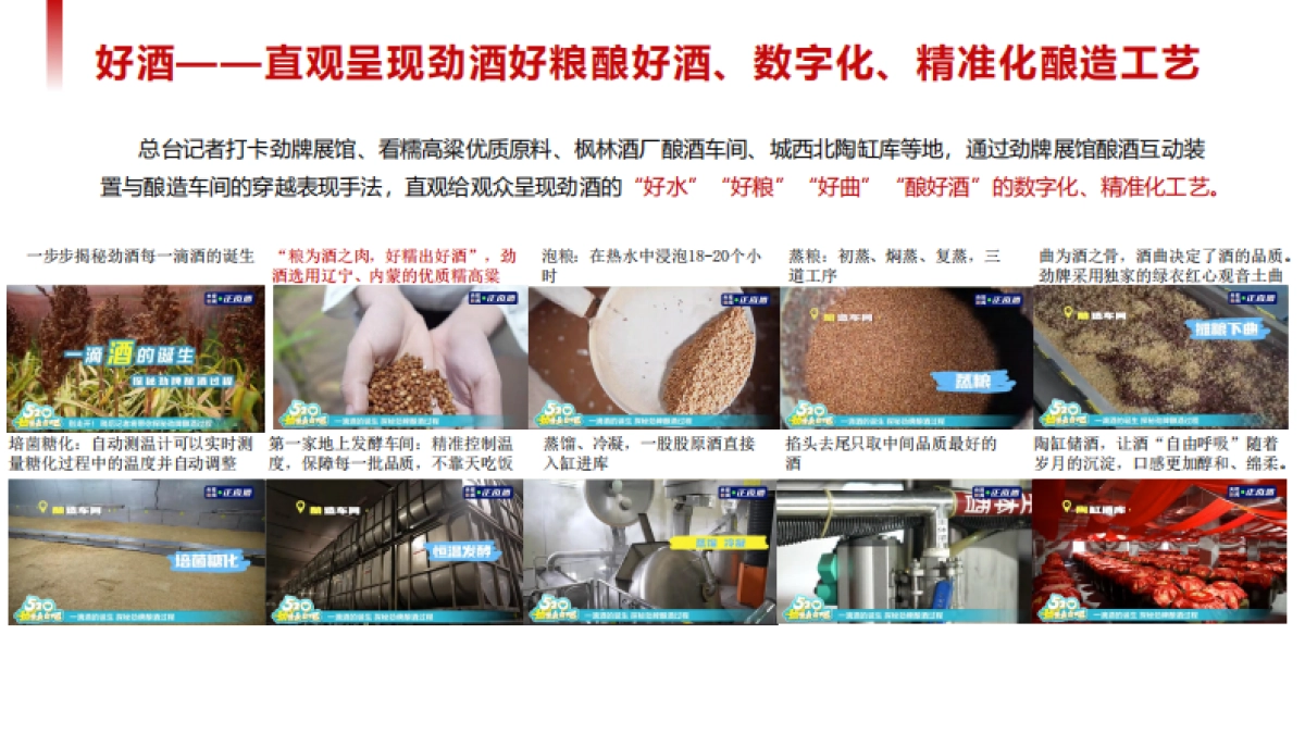 中国劲酒&央视新闻撒贝宁直播探厂直播_第8页
