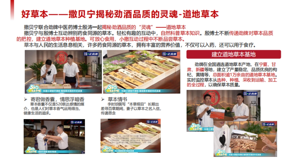 中国劲酒&央视新闻撒贝宁直播探厂直播_第9页