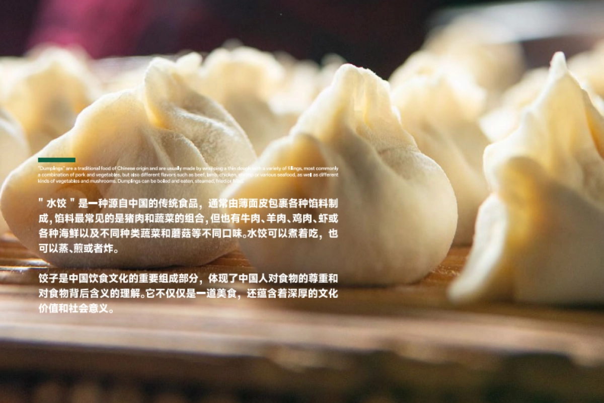 冷鲜水饺品牌品牌定位策划设计全案_第5页