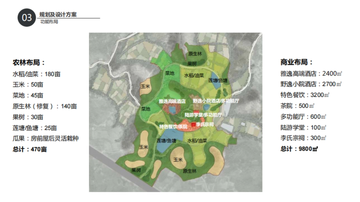 文旅小村乡村振兴村落打造改造规划案_第10页