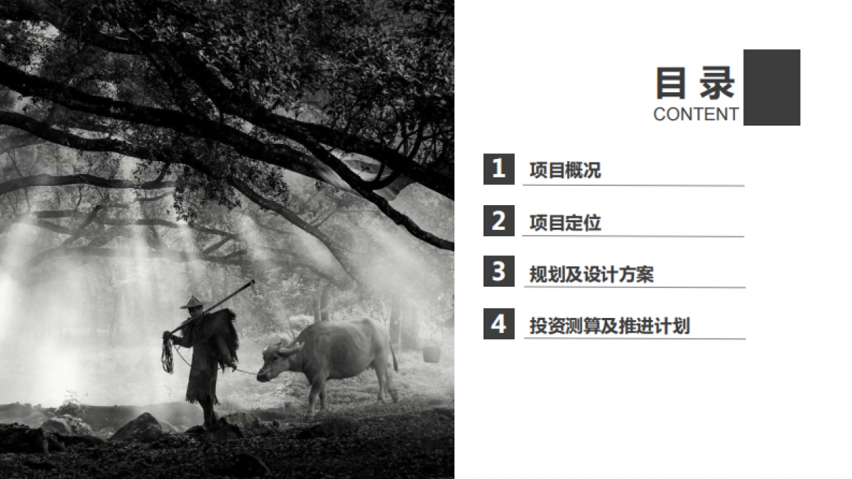 文旅小村乡村振兴村落打造改造规划案_第2页