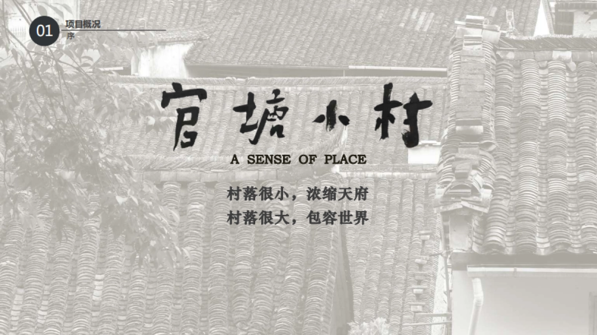 文旅小村乡村振兴村落打造改造规划案_第3页