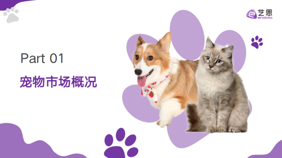 艺恩：2024年宠物清洁用品趋势洞察报告_第3页