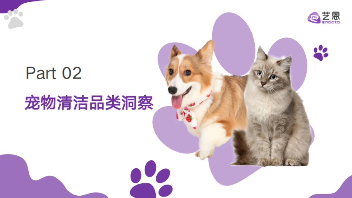 艺恩：2024年宠物清洁用品趋势洞察报告_第7页