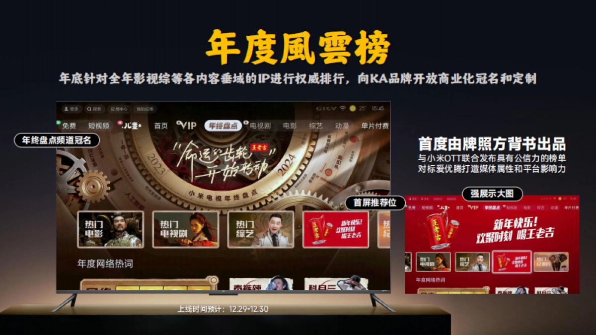 2025小米CNY招商案_第10页