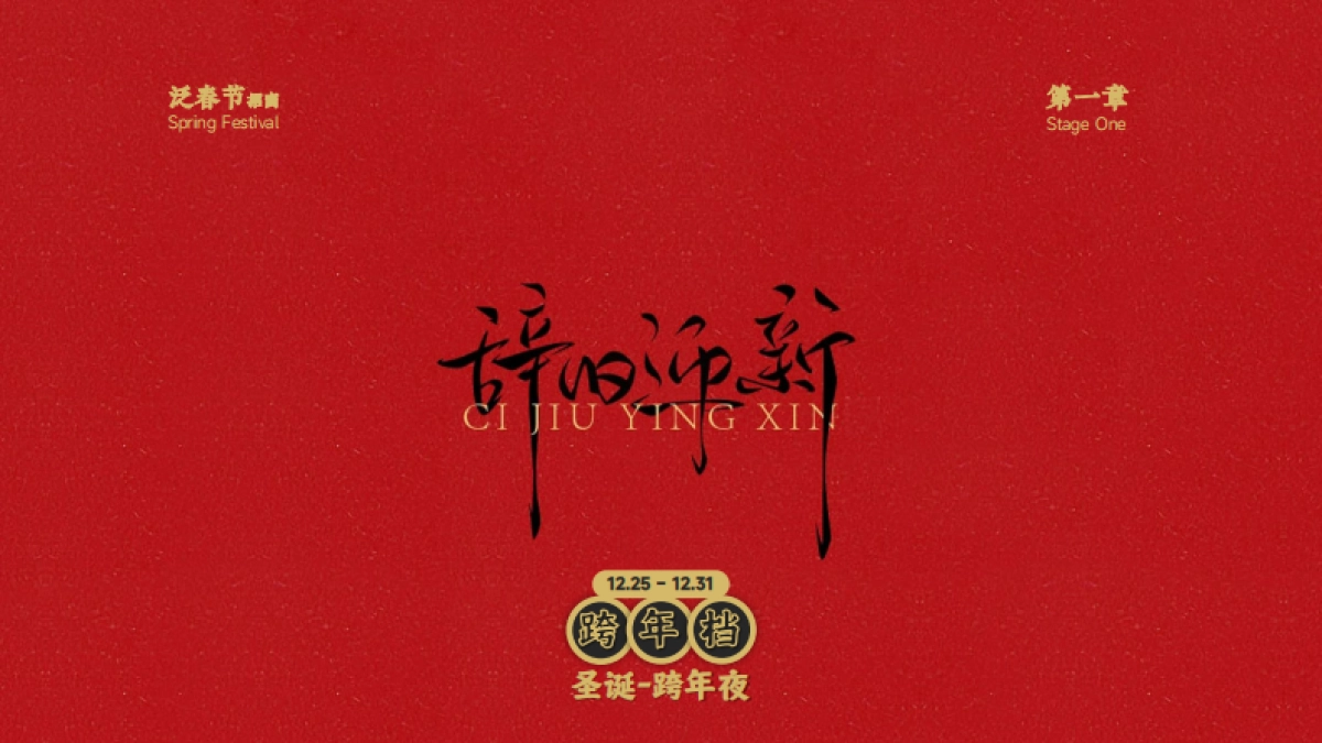 2025小米CNY招商案_第5页