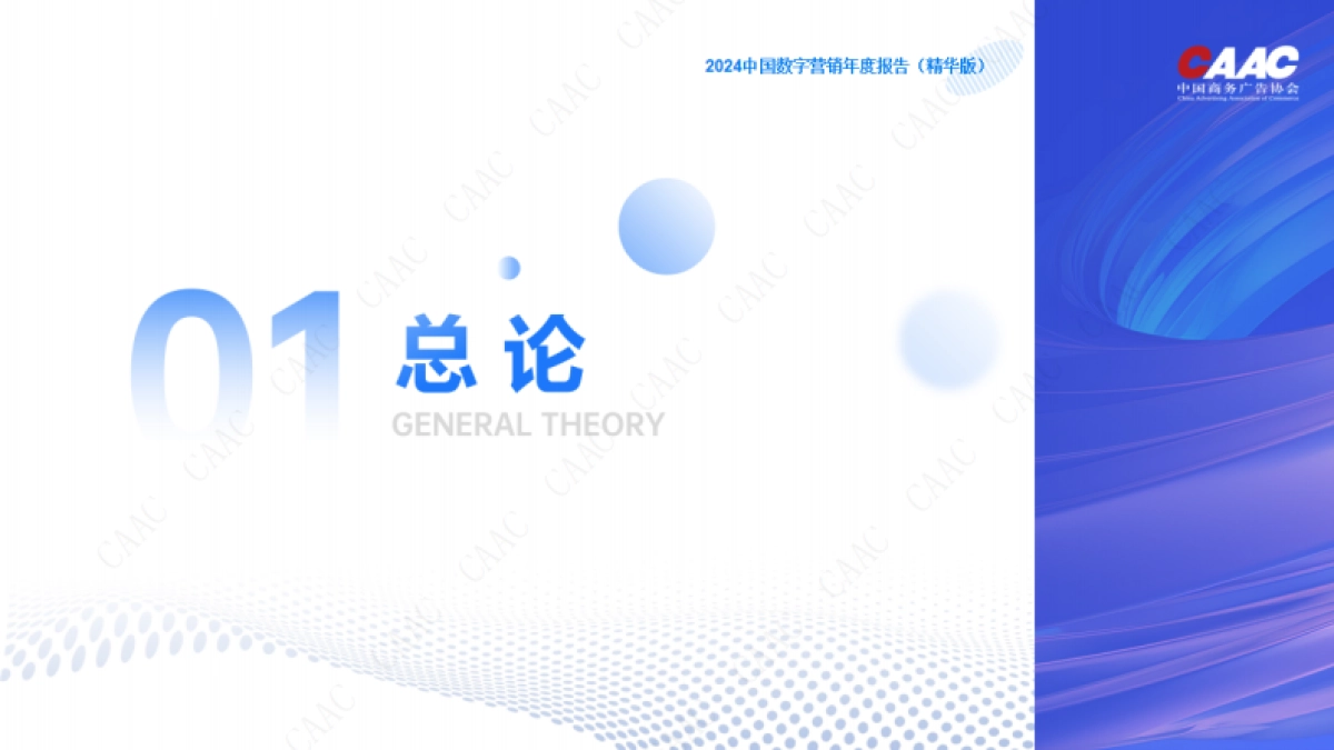 CAAC：2024年中国数字营销年度报告_第4页