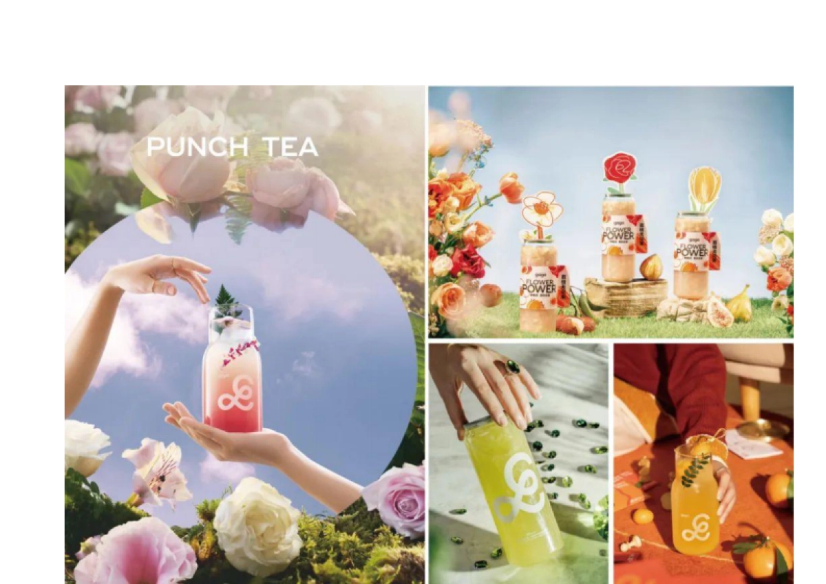 gaga鲜语品牌手册_第10页