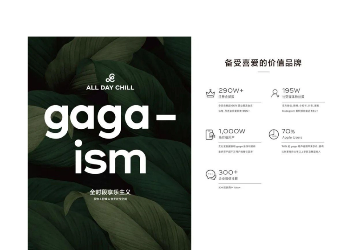 gaga鲜语品牌手册_第4页