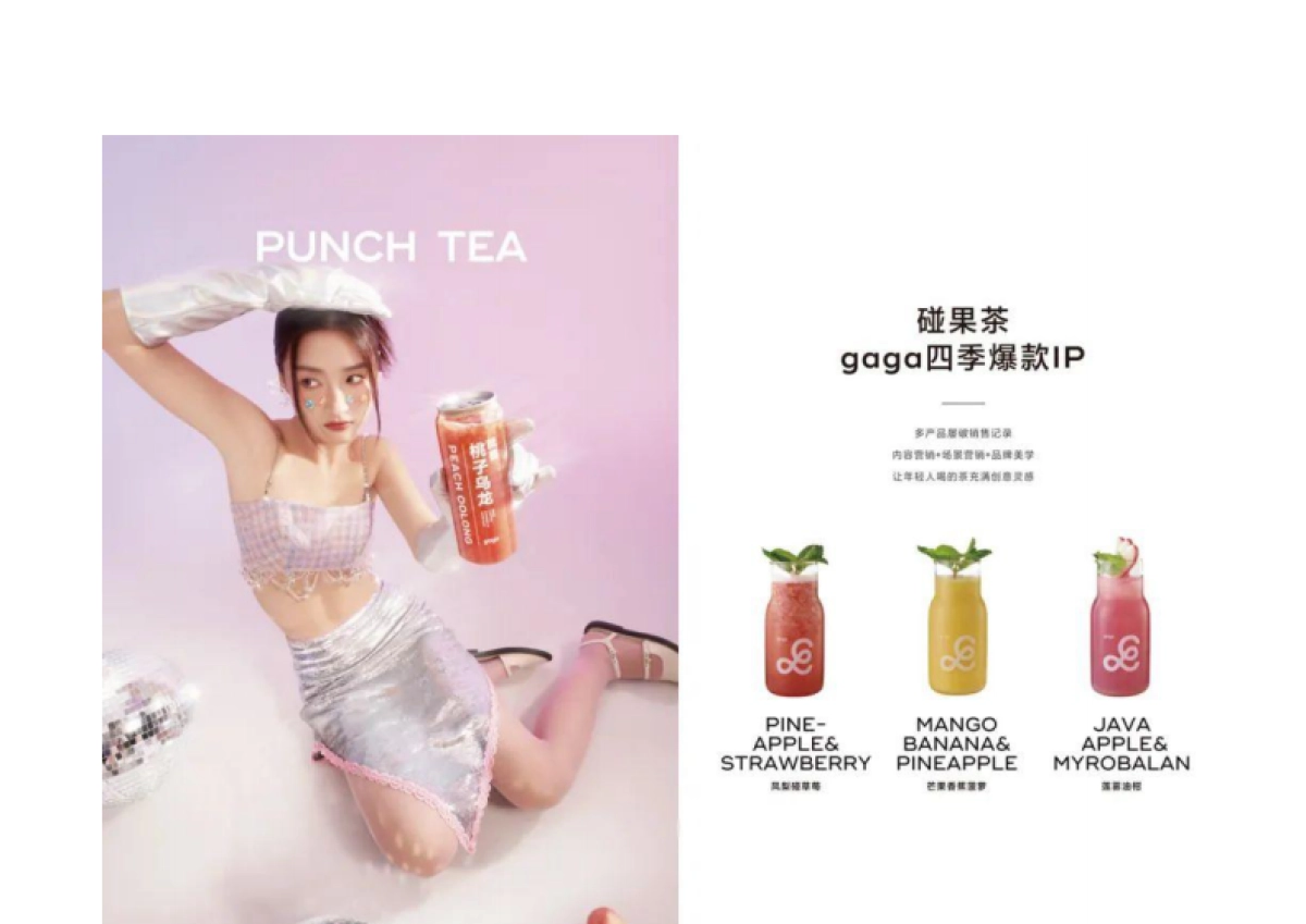 gaga鲜语品牌手册_第9页