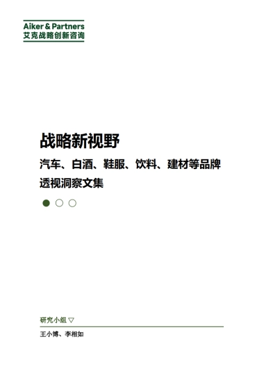 艾克战略创新咨询：战略新视野：汽车、白酒、鞋服、饮料、建材等品牌透视洞察文集