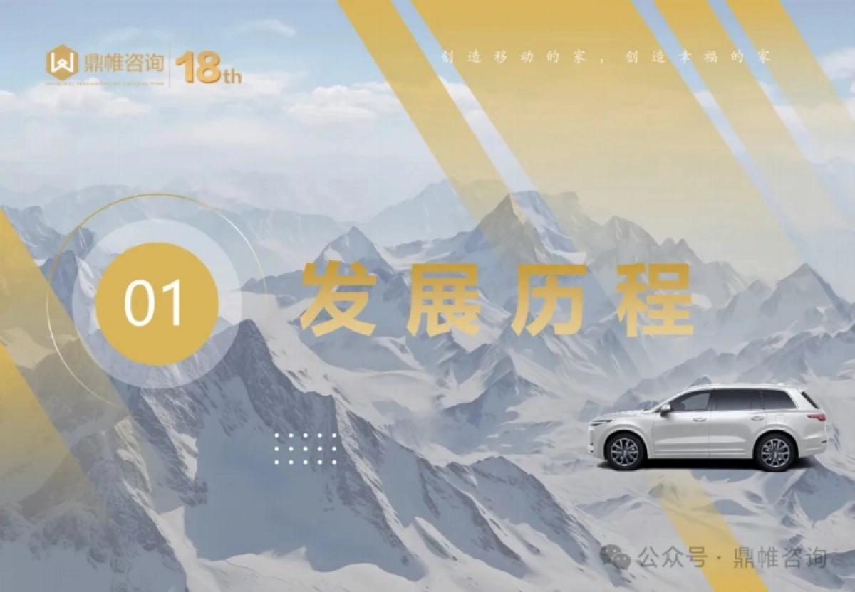 理想汽车发展战略研究报告_第5页