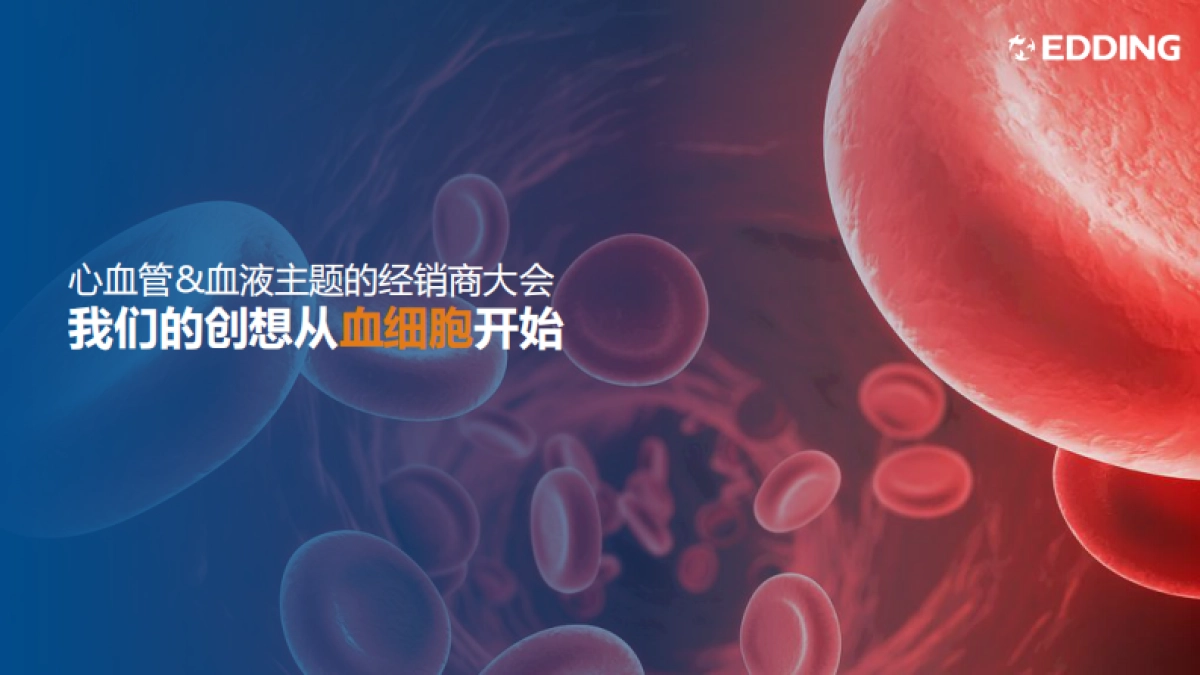 亿腾经销商大会策划案_第8页